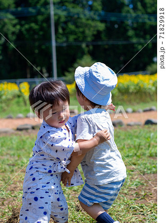 ひまわり畑で遊ぶ男の子 ひまわり畑で遊ぶ男の子 71829918