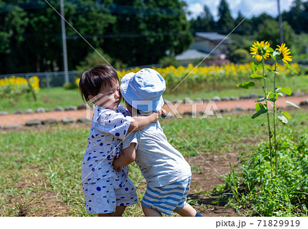 ひまわり畑で遊ぶ男の子 ひまわり畑で遊ぶ男の子 71829919