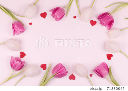 Frame made of colourful tulips Frame made of colourful tulips 71830045