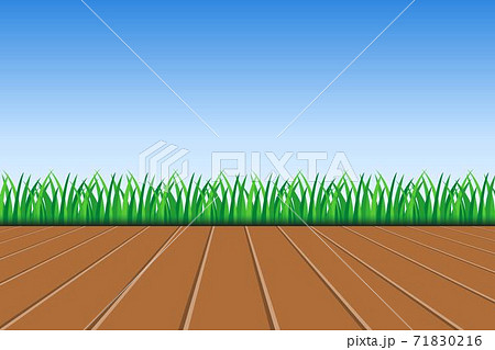 Background of green grass, wooden deck and blue sky vector illustration 71830216