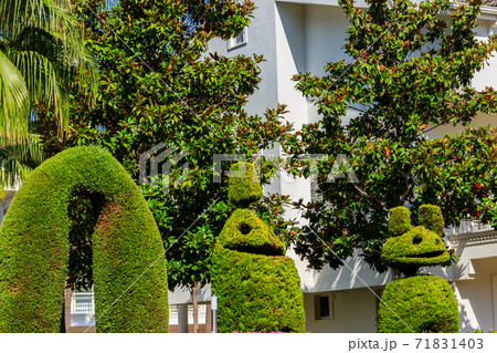 Beautiful funny bush figures in a garden Beautiful funny bush figures in a garden 71831403