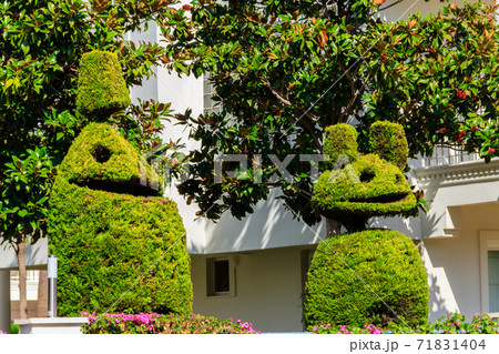 Beautiful funny bush figures in a garden Beautiful funny bush figures in a garden 71831404