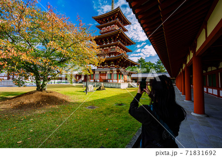 薬師寺西塔記念写真 71831692