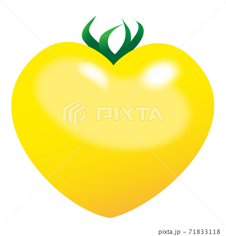 つやつやフレッシュ可愛いハート型の黄色いトマトのイラスト　yellow tomato illust 71833118