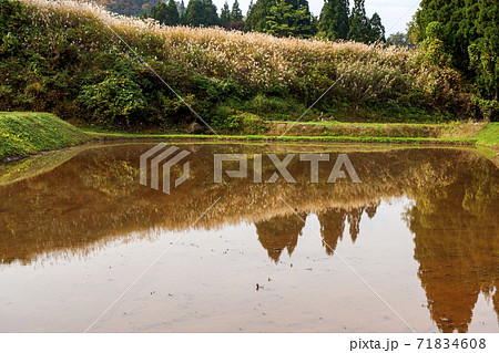 秋の米どころ新潟上越市、国道405号線 71834608