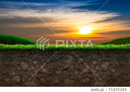 Soil and Grass in Sunset Background Soil and Grass in Sunset Background 71835284