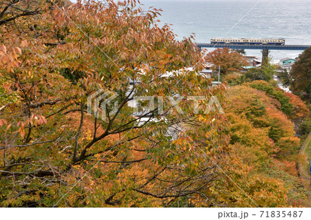 紅葉の五能線を走る列車 紅葉の五能線を走る列車 71835487