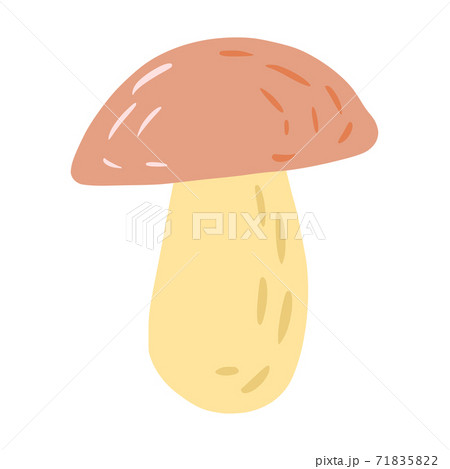 Mushroom isolated on white background. Scandinavian botanical in doodle. 71835822