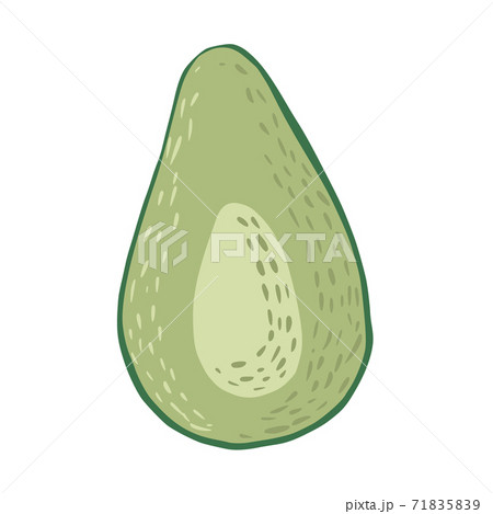 Half avocado isolated on white background. Abstract botanical illustration in doodle . 71835839