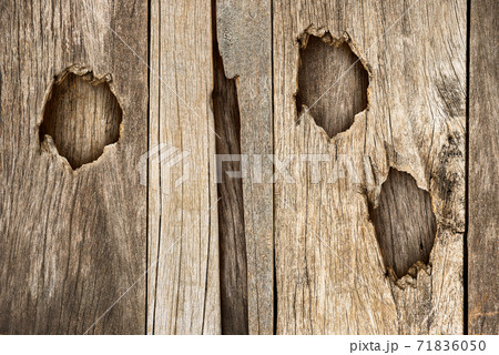 Wooden background and texture Wooden background and texture 71836050