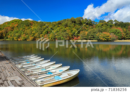 紅葉の松原湖の写真素材