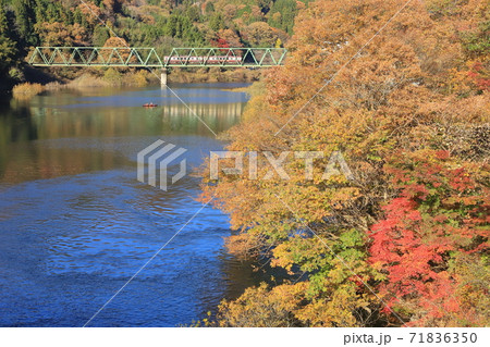 わたらせ渓谷鐵道「草木湖と木々の紅葉」 わたらせ渓谷鐵道「草木湖と木々の紅葉」 71836350