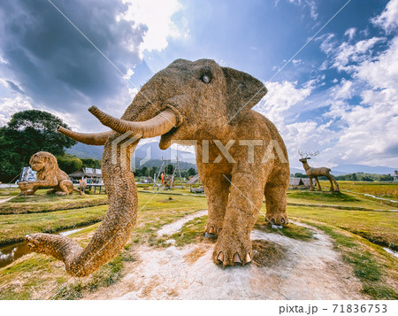 Giant animal and King Kong hay sculptures in Huay Tung Tao Lake Don Kaeo in Chiang Mai province Giant animal and King Kong hay sculptures in Huay Tung Tao Lake Don Kaeo in Chiang Mai province 71836753