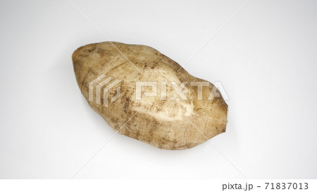 ヤーコンのイメージ 71837013