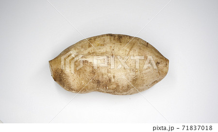 ヤーコンのイメージ 71837018