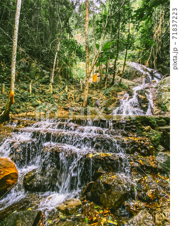 Mae Kampong mountain village in Chiang Mai province, Thailand 71837223