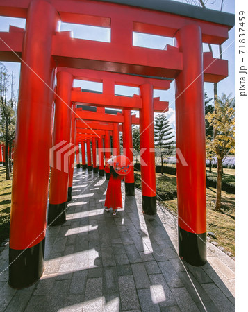 Hinoki land japan attraction in Chai Prakan District, Chiang Mai, Thailand 71837459