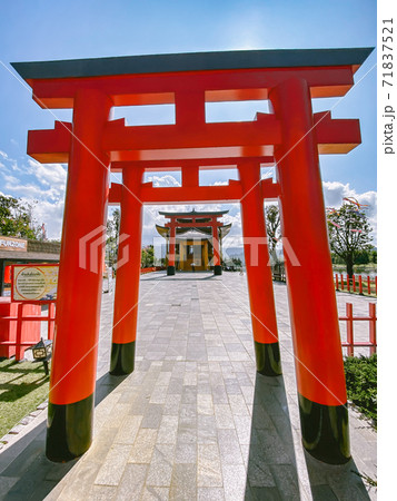 Hinoki land japan attraction in Chai Prakan District, Chiang Mai, Thailand 71837521