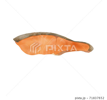 水彩タッチの切り身の焼き鮭のイラストのイラスト素材