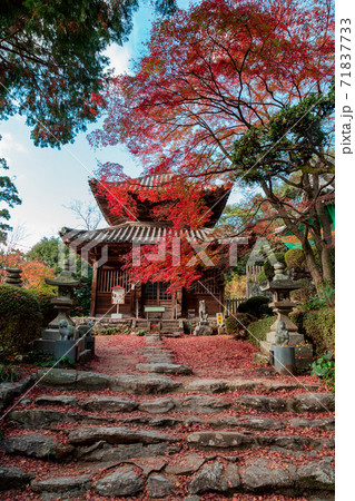 四国霊場第八十八番札所　白峯寺の紅葉 71837733