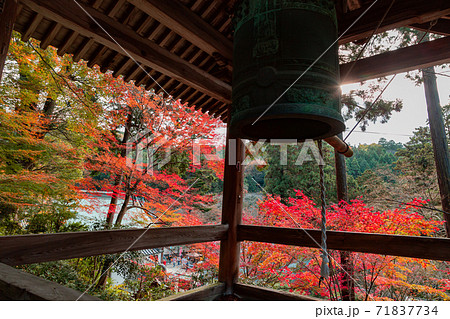 四国霊場第八十八番札所　白峯寺の紅葉 71837734