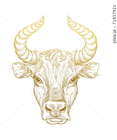 The Life and Times  Chinese zodiac tattoo Ox tattoo Bull tattoos