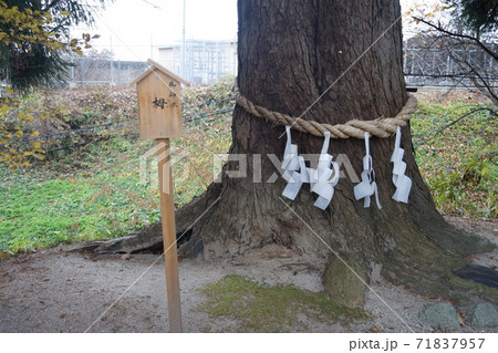 花巻神社 花巻神社 71837957