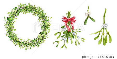 Mistletoe branch watercolor illustration. Mistletoe branch watercolor illustration. 71838303