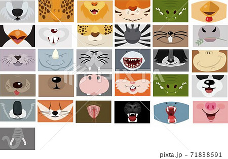 Animals mouth vector set on white background. Fase mask pattern 71838691