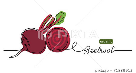 Beetroot vector illustration, background. One line drawing art illustration with lettering organic beetroot 71839912