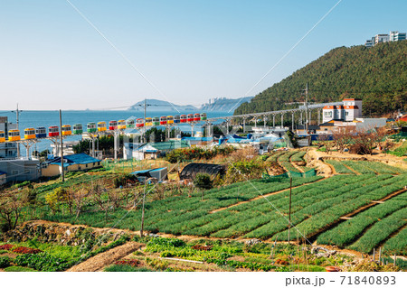 View of Cheongsapo village and blue ocean in Busan, Korea View of Cheongsapo village and blue ocean in Busan, Korea 71840893