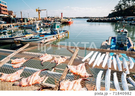 Gijang Gongsu harbor fishing village in Busan, Korea Gijang Gongsu harbor fishing village in Busan, Korea 71840982