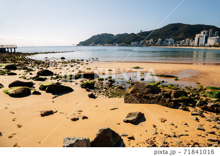 Songjeong beach with modern buildings in Busan, Korea Songjeong beach with modern buildings in Busan, Korea 71841016