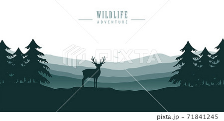 wildlife deer in forest with mountain view blue nature landscape wildlife deer in forest with mountain view blue nature landscape 71841245