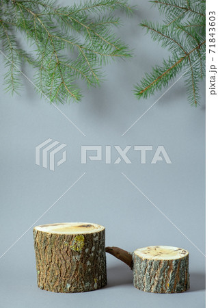 Wooden empty podiums with fir branches on gray background. Wooden cuts Wooden empty podiums with fir branches on gray background. Wooden cuts 71843603