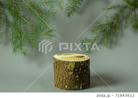 Wooden empty podium with fir branches on gray background. Wooden cut 71843612