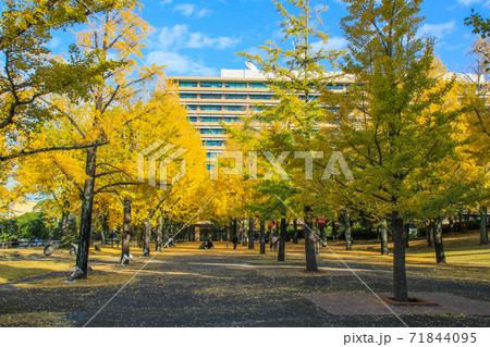 熊本県庁 熊本県庁 71844095