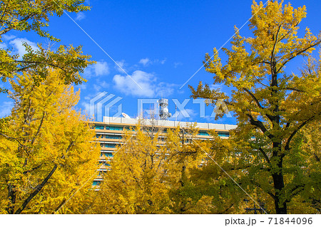 熊本県庁 熊本県庁 71844096