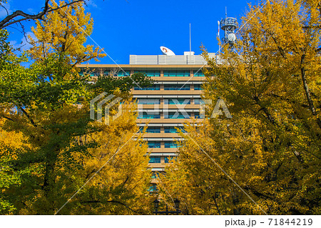 熊本県庁 熊本県庁 71844219