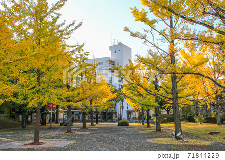 熊本県庁 71844229