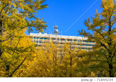 熊本県庁 熊本県庁 71844234