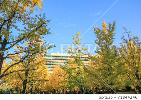 熊本県庁 71844246