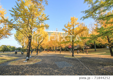 熊本県庁 71844252