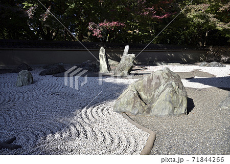 龍吟庵　西庭　龍門の庭 71844266