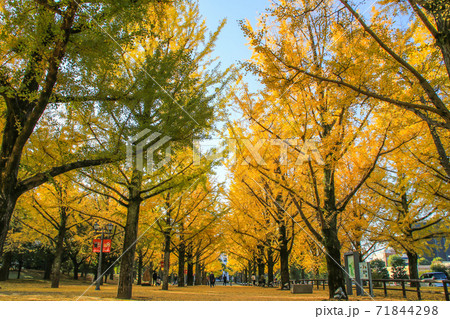 熊本県庁 71844298