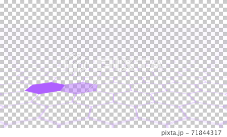 CGヘクサゴン　並んだ複数の六角形の背景素材 71844317