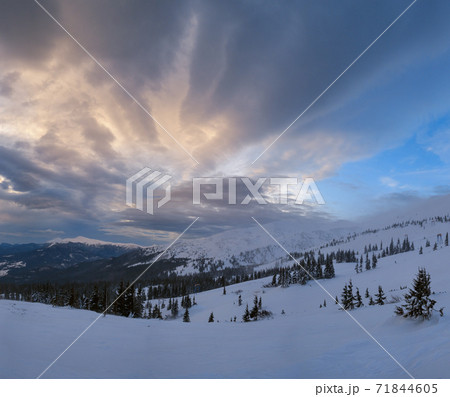 Picturesque winter windy and cloudy morning alps. Ukrainian Carpathians highest ridge Chornohora with peaks of Hoverla and Petros mountains. View from Svydovets ridge Dragobrat ski resort. Picturesque winter windy and cloudy morning alps. Ukrainian Carpathians highest ridge Chornohora with peaks of Hoverla and Petros mountains. View from Svydovets ridge Dragobrat ski resort. 71844605