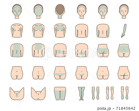 女性の体のパーツのベクターイラストセット レーザー脱毛のイラスト素材