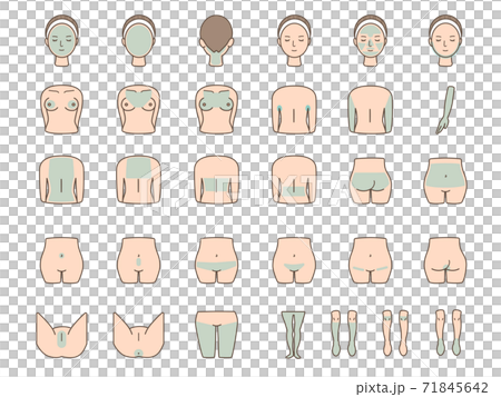 Vector illustration set of female body parts Laser hair removal 71845642