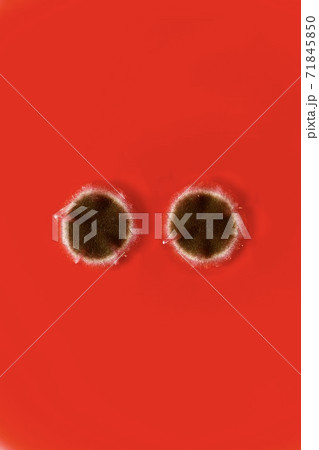 Vertical image of two round spots of brown mold. On a red background. Vertical image of two round spots of brown mold. On a red background. 71845850